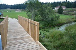 Ein bukolischer Spaziergang auf dem See